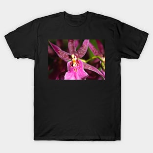 Zygopetalum in Pink T-Shirt